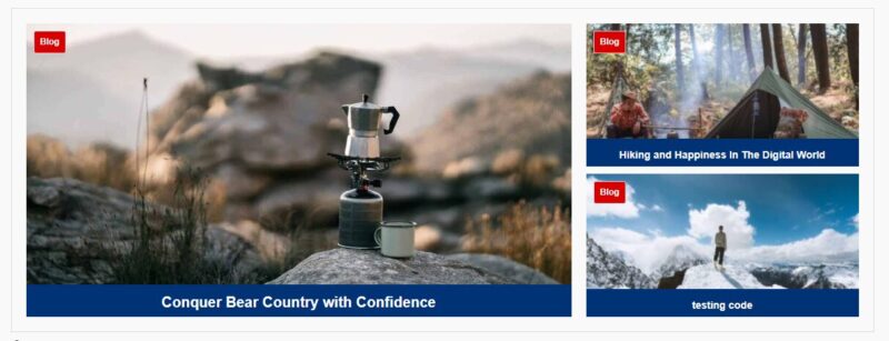 Random Grid Display WordPress Plugin